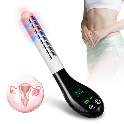 Home Heated Pelvic Floor Training Device for Women