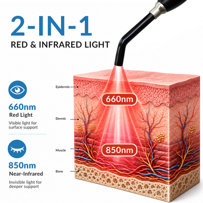 Oral Care Red Light Therapy Device for Gums Teeth Lips